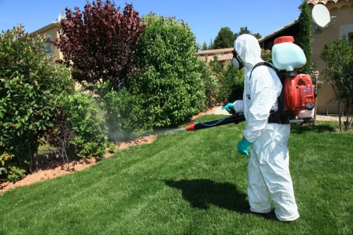 Pacifica Mosquito Control
