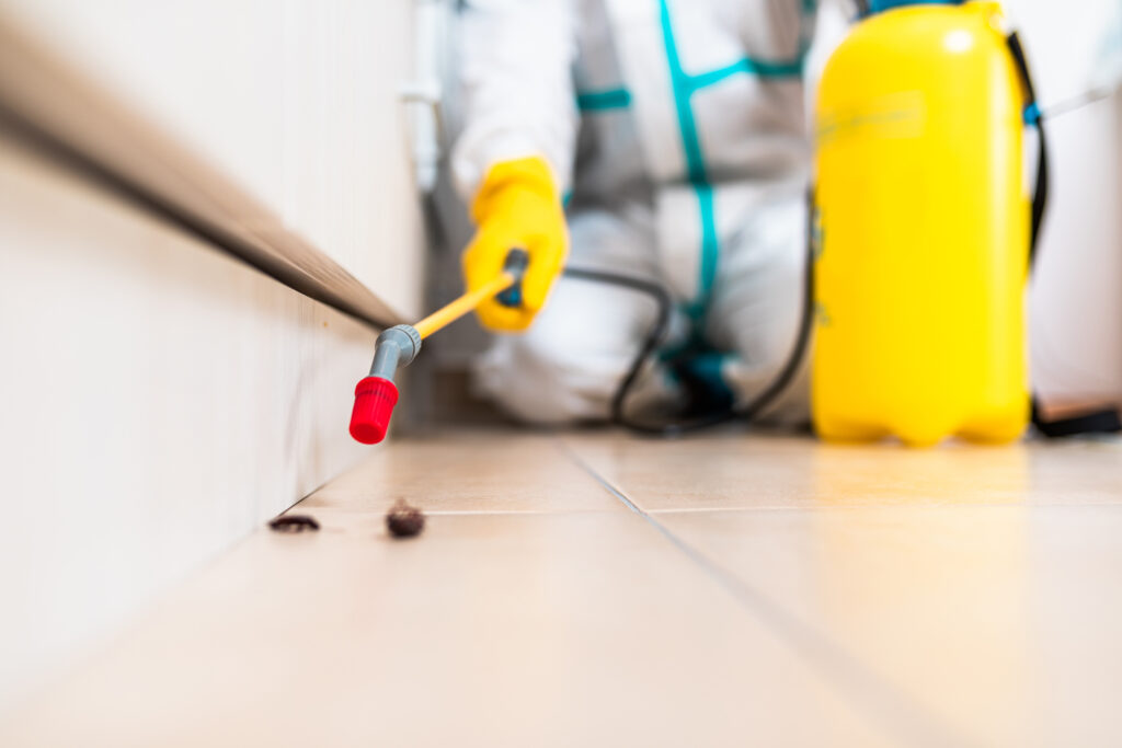 Pacifica Cockroach Experts